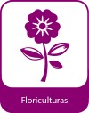 floriculturas