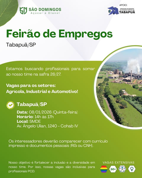 empregos sao domingos