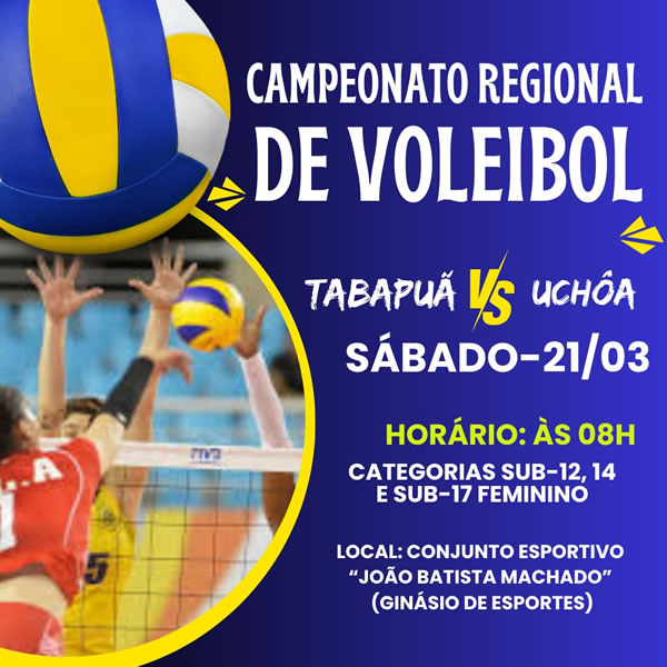 voleibol